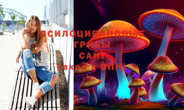 эйфоретик Балахна