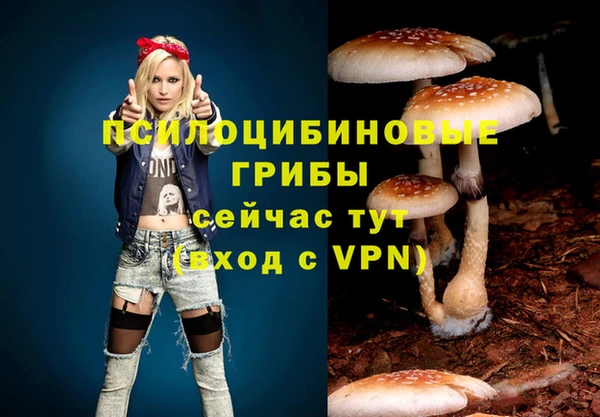 бутират Баксан