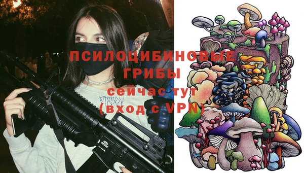 бутират Баксан