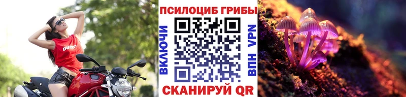 Псилоцибиновые грибы мухоморы  Вытегра 