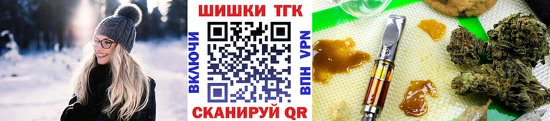 Бошки Шишки ГИДРОПОН  продажа наркотиков  Вытегра 